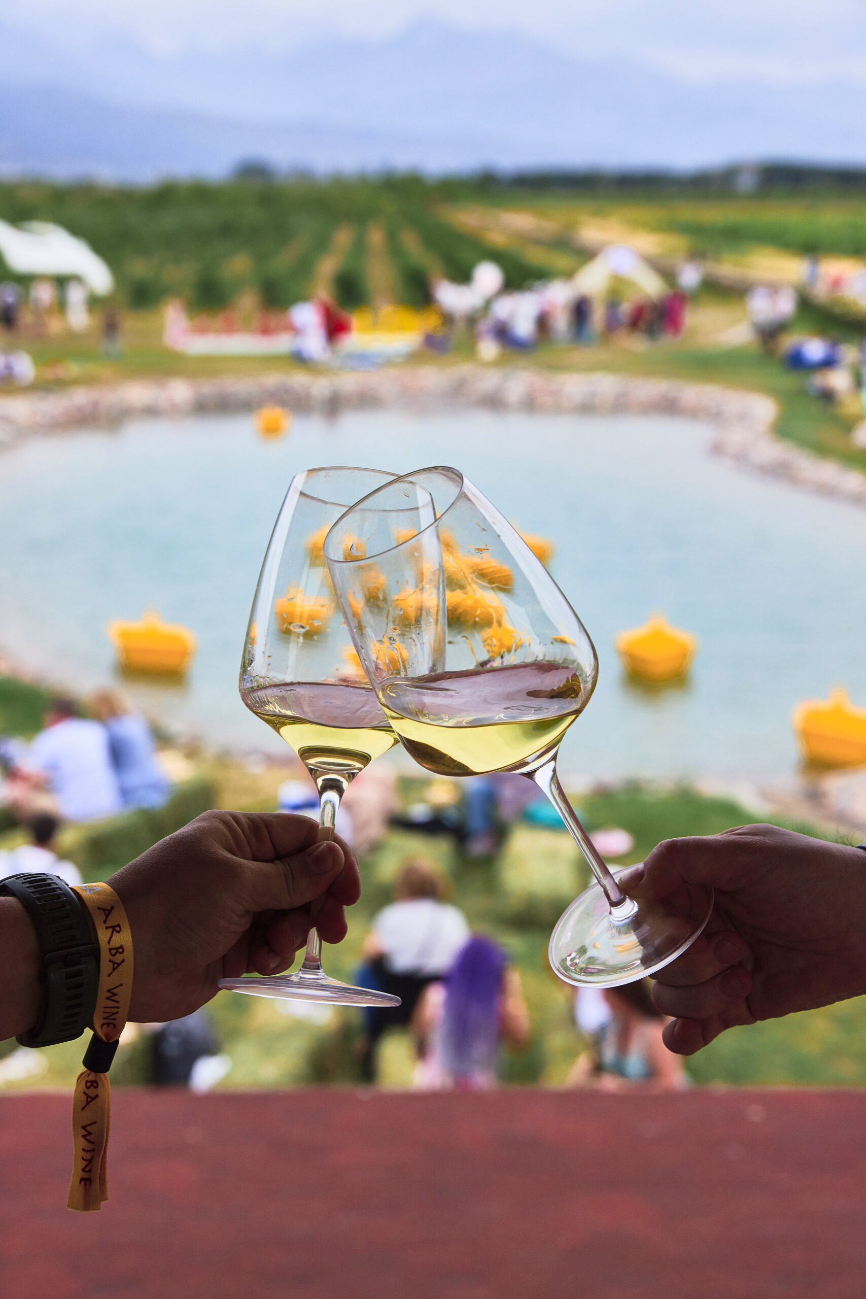Идём на праздник урожая от Arba wine
