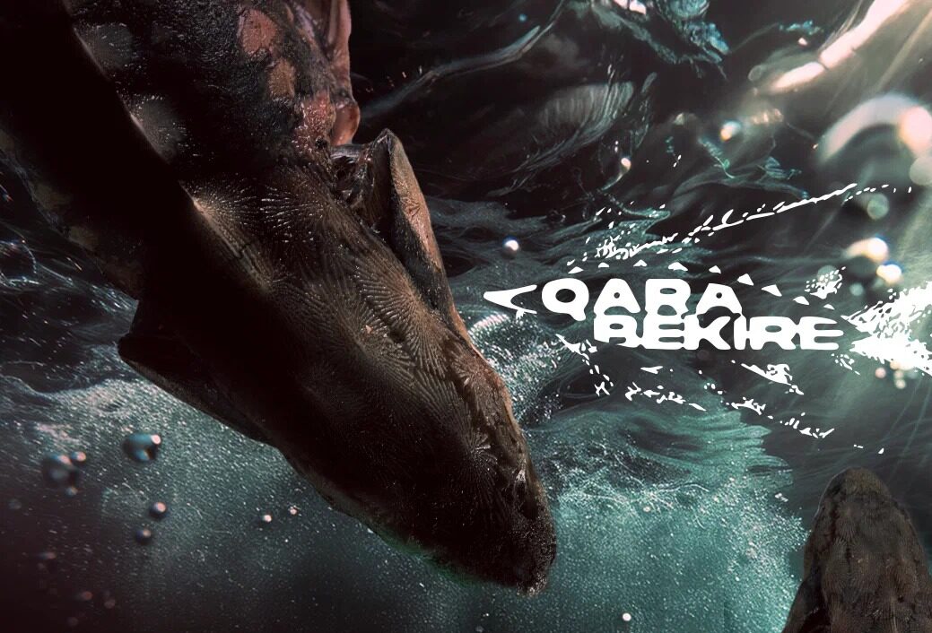 Состоялся официальный релиз сериала «Қара бекіре»