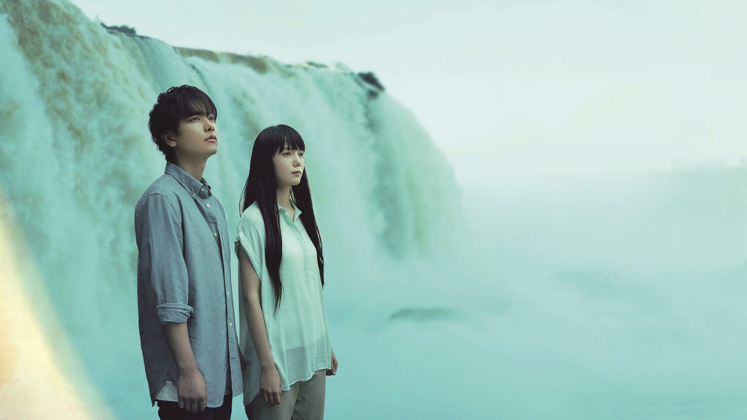 «Если все кошки в мире исчезнут» — обнадеживающая драма о принятии смерти