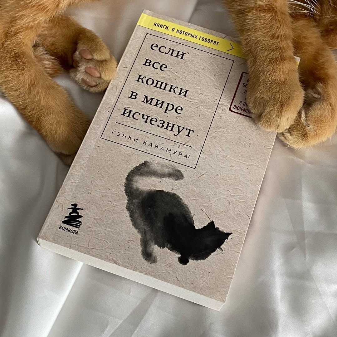 «Если все кошки в мире исчезнут» — обнадеживающая драма о принятии смерти