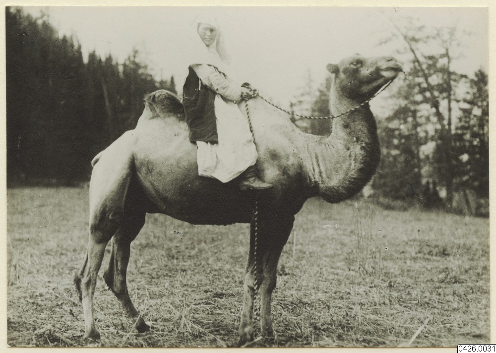 Қазақы болмысын көне суреттерден тапқан Саддам