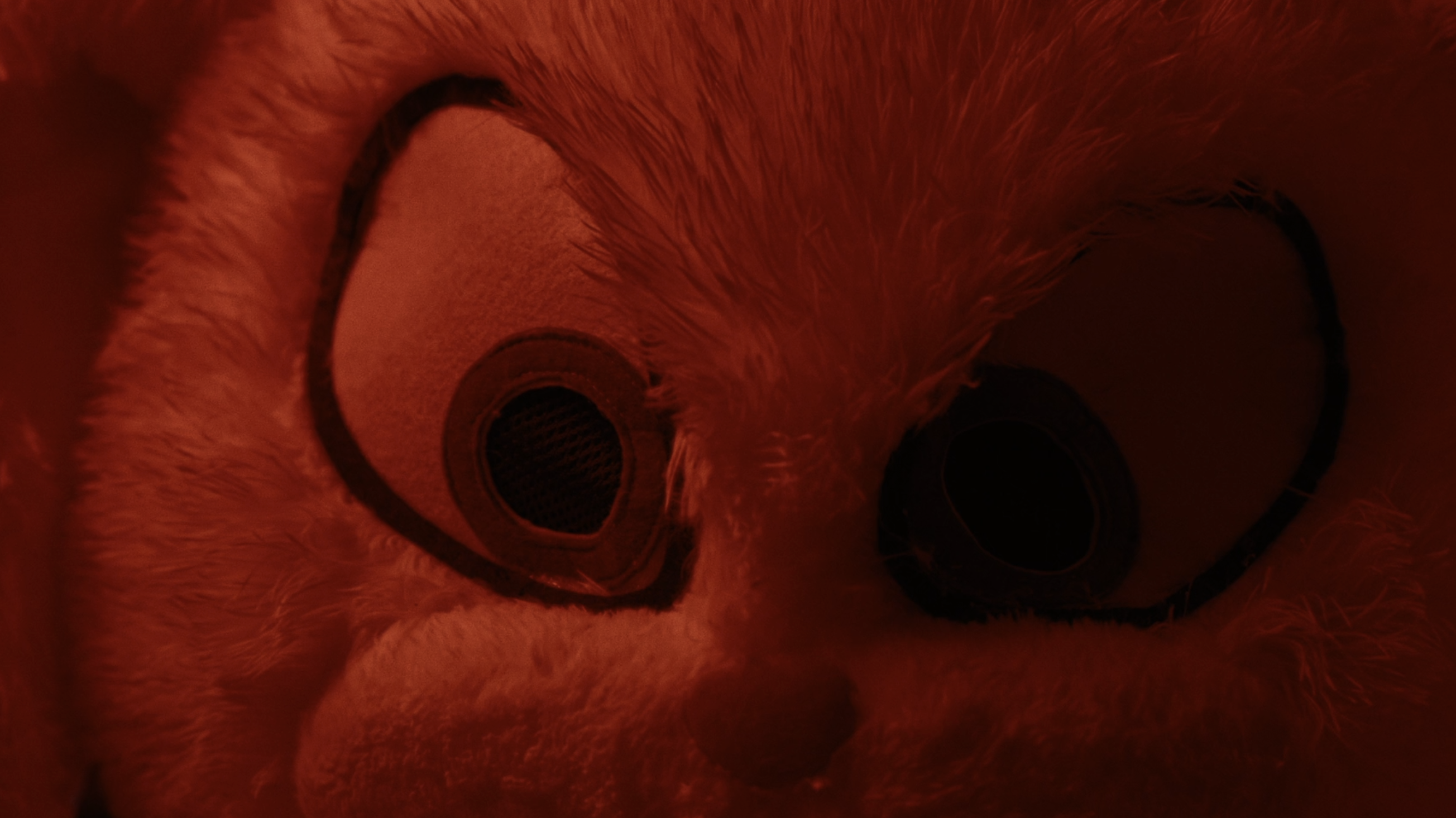 Мәнін жоғалтқан «Қызғылт қоянды» аулау