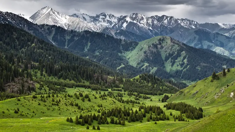 В Алматы пройдут общественные слушания по проекту горнолыжного курорта в Кок-Жайлау