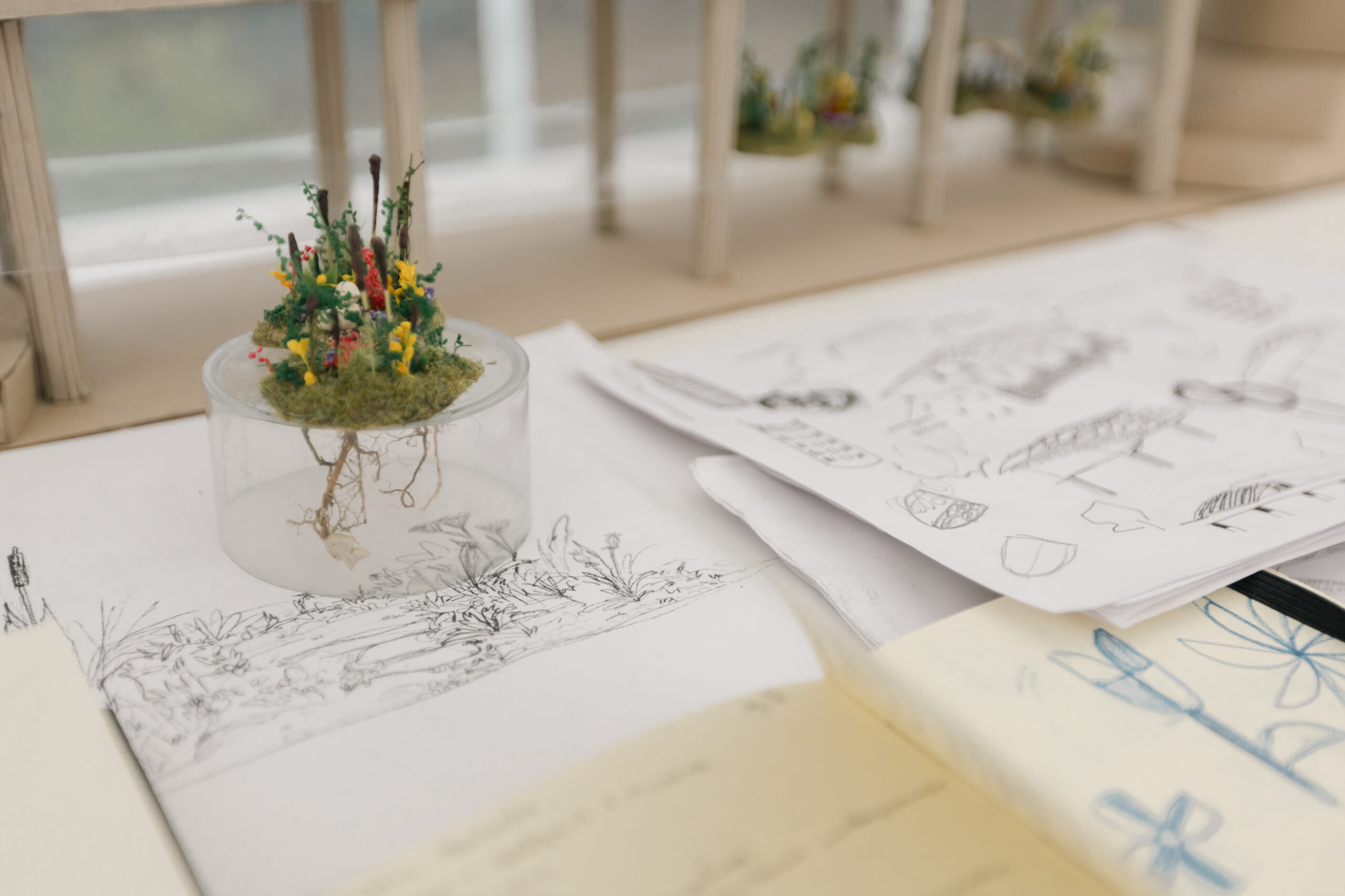 Открыт приём заявок в Bölme School