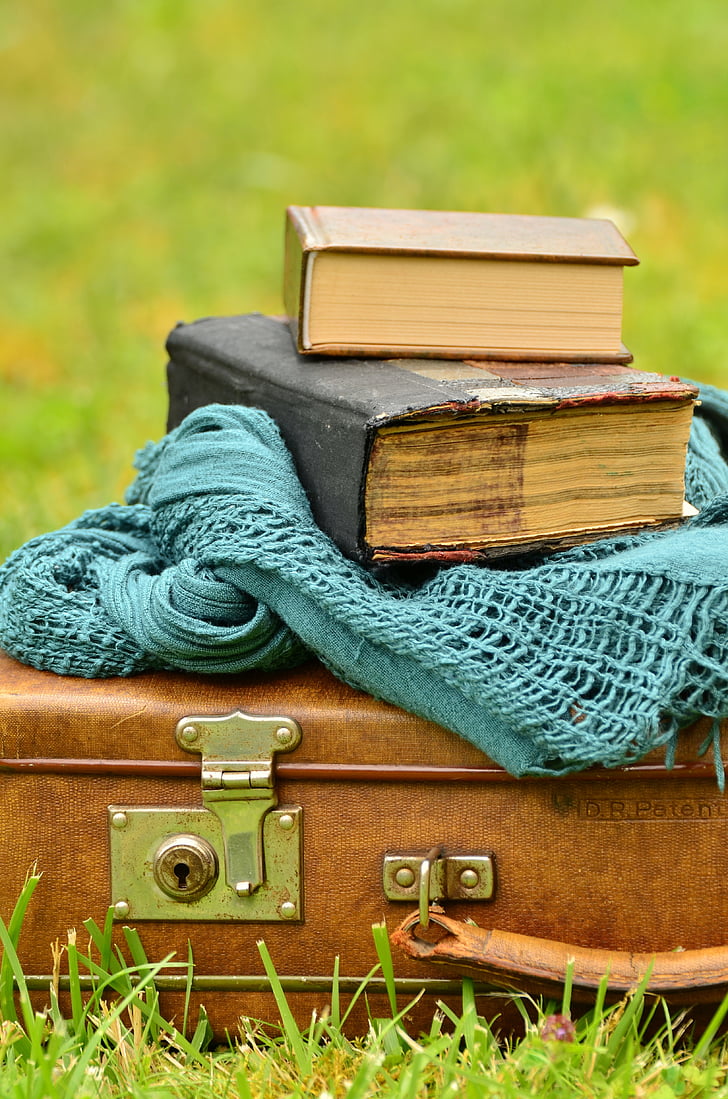 Зачем ИИ-компании уничтожают старые книги